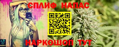 дмт Донской