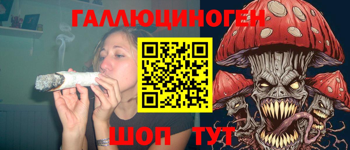 Галлюциногенные грибы Magic Shrooms Вологда